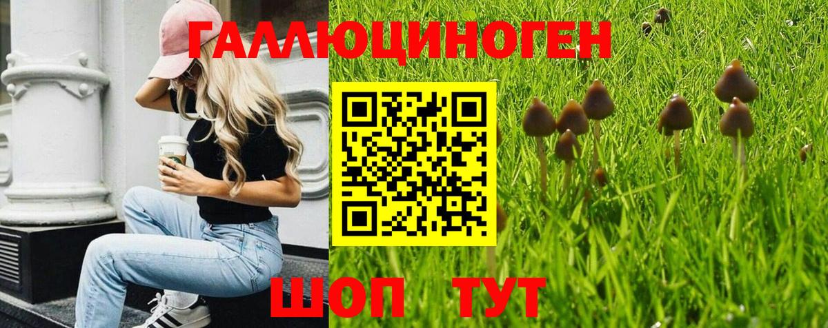 где найти наркотики  Вход с VPN  Псилоцибиновые грибы Magic Shrooms  Ирбит  Псилоцибиновые грибы Magic Shrooms 